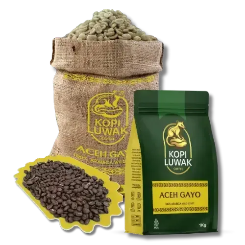 Aceh Gayo Luwak