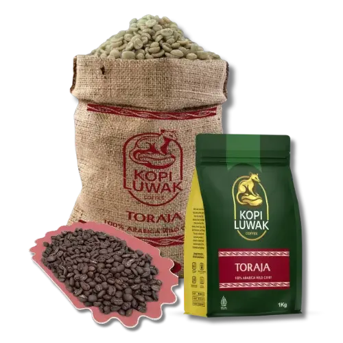 Toraja Luwak