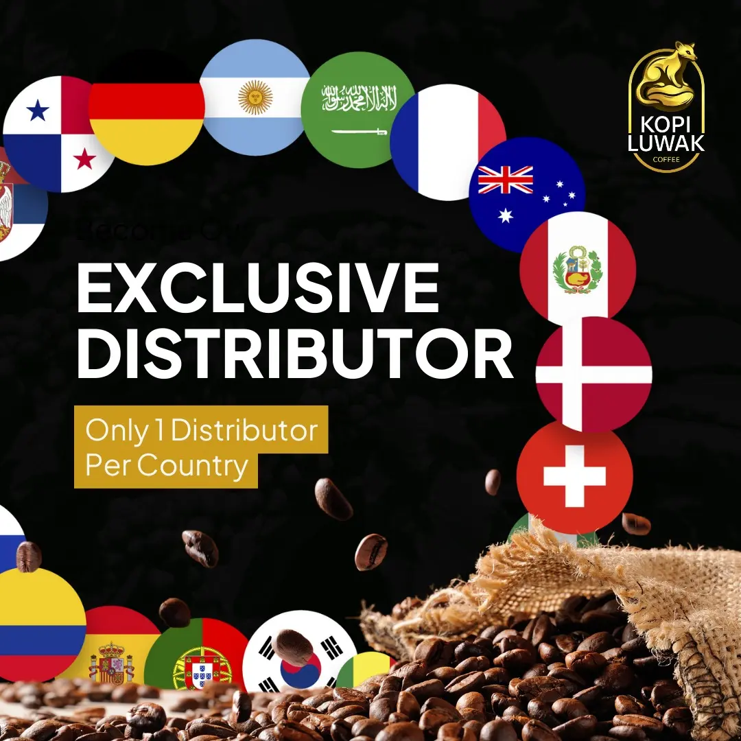 Become our distributor