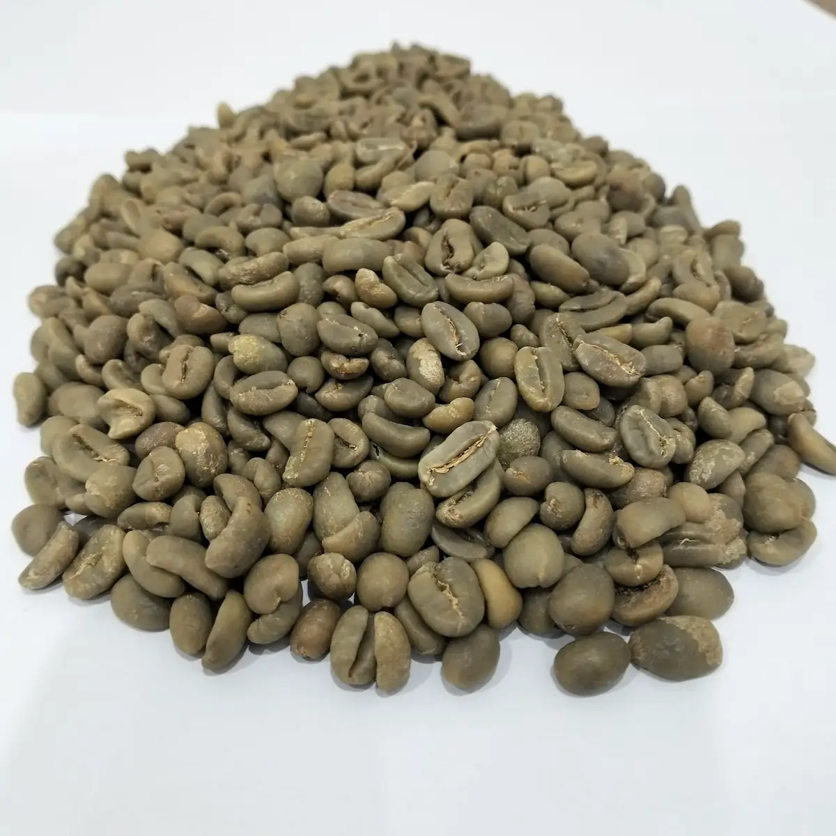Green beans kopi Luwak